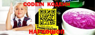 индика Кулебаки