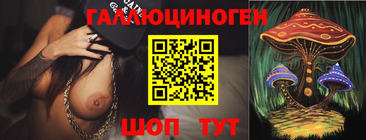 Псилоцибиновые грибы Psilocybine cubensis  Вход с VPN  Кириши  Псилоцибиновые грибы Psilocybe 