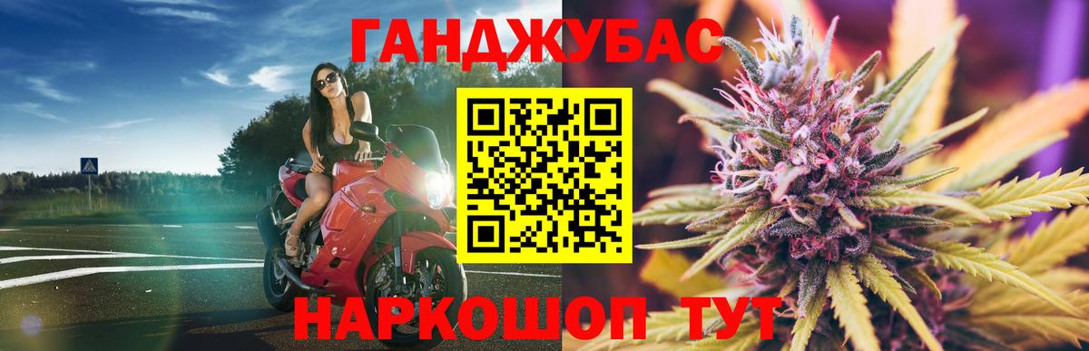 Канабис Amnesia  Марихуана гибрид  Кириши  Каннабис Amnesia  МАРИХУАНА семена  Вход с VPN 